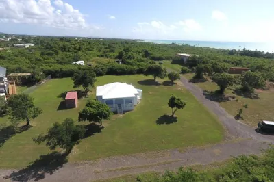 358 Whim (two Will) We 1