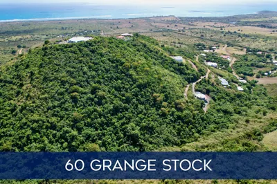 60 Grange Stock Est Co 1