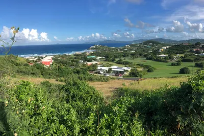 125 Judith's Fancy Qu 1