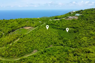 48&50 Clairmont Nb 1