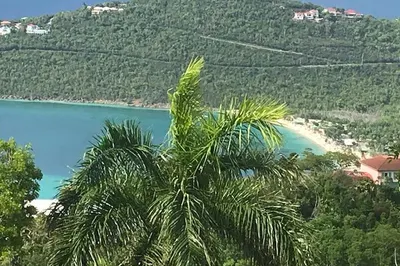 7crem&7bc Misgunst Gns 1