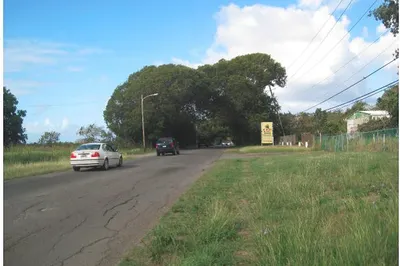 12 & 13 Mountain Pr 1