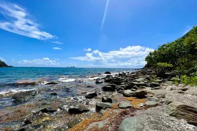 4-7-4 &-24 Fortuna We 1