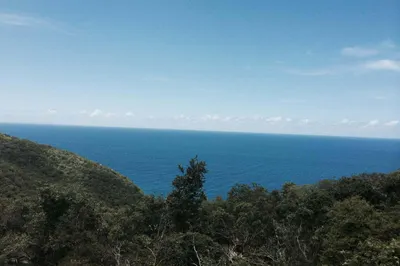 4-35 Botany Bay We 1