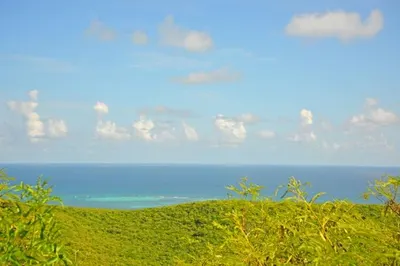 293 Union & Mt. Wash Ea 1