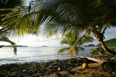 4-10 Botany Bay We 1