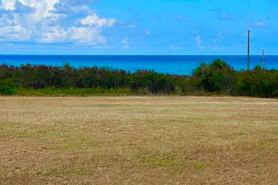 130 Enfield Green Pr 1