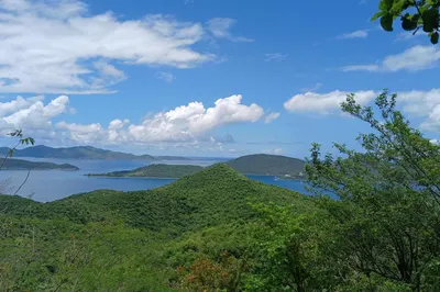 5-i Leinster Bay 1