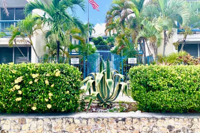 40 Orange Grove Co 1