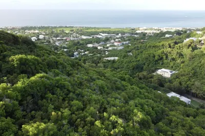 2-i & 3-d Bellevue Co 1