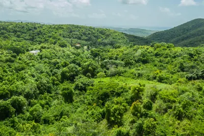 9-e Montpellier Pr 1