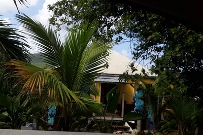 12cd Montpellier Qu 1