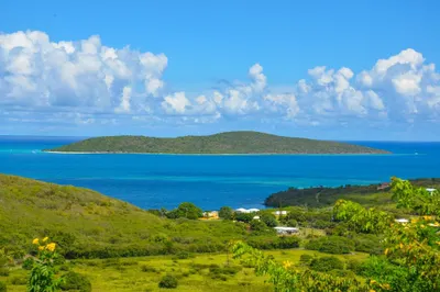 107d & 11a Solitude Eb 1