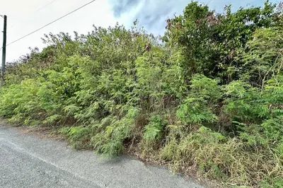 667 Strawberry Hill Qu 1