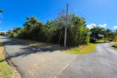 154 Judith's Fancy Qu 1