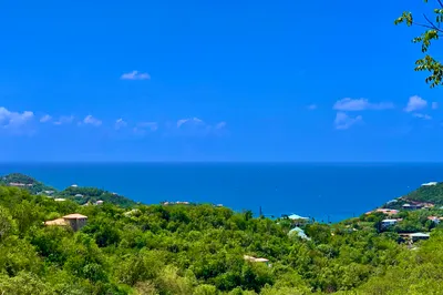 3b-96 Sans Soucci & Guinea Gut 1