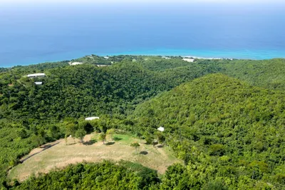 6 Butler's Bay We 1