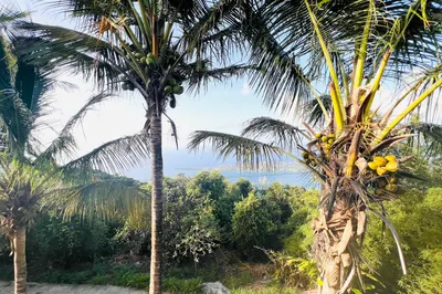 9a2 Lerkenlund Gns 1