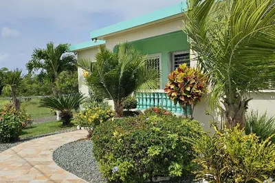 41q Whim Whim (two Will) We 1