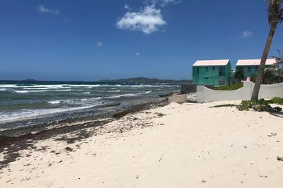 101 La Grande Princesse Co 1