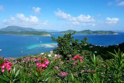 6a-4 St. Quaco & Zimmerman 1