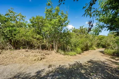 111-1 Water Island Ss 1