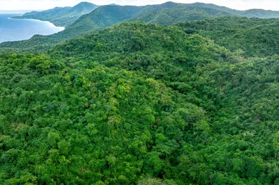 1a Spring Garden Na 1