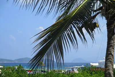 164 Smith Bay Rh 1
