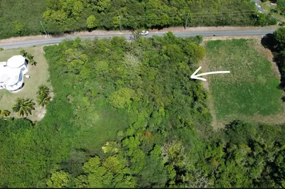 184 Mary's Fancy Qu 1