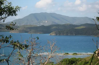 6a-1-4 Rem St. Quaco & Zimmerman 1