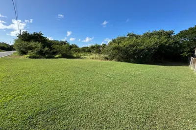 41-p Whim (two Will) We 1