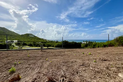 86 South Grapetree Eb 1