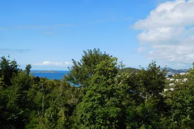 3b-32 Sans Soucci & Guinea Gut 1