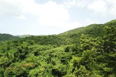 28aab Beck's Grove We 1