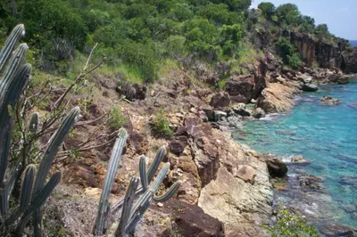 3 Rem Water Island Ss 1