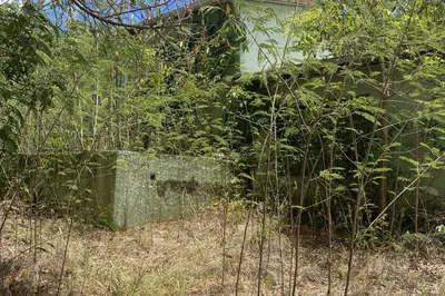 5a & 6a Concordia Qu 1