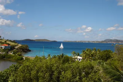 232 Unit 6 Contant/enighed 1