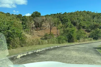 4-24 Botany Bay We 1