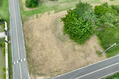 41-l Whim (two Will) We 1