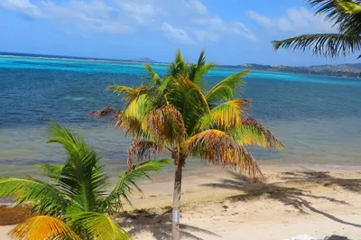 202 Golden Rock Co 1