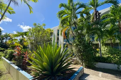 37 Orange Grove Co 1