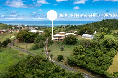 28 & 29 Hermon Hill Co 1