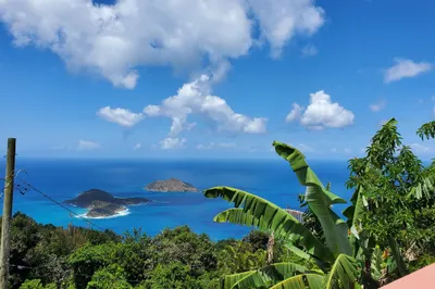 3e-2 St. Peter Lns 1