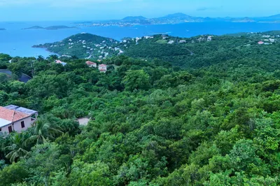 4-72 Sans Soucci & Guinea Gut 1