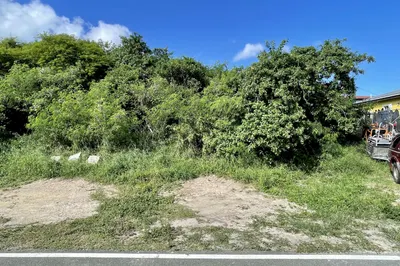 354 Barren Spot Qu 1