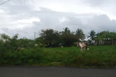 1004 William's De Pr 1