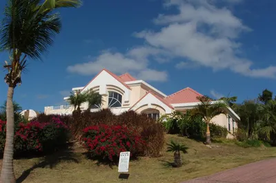 3b-60 Sans Soucci & Guinea Gut 1