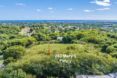 263 Mary's Fancy Qu 1