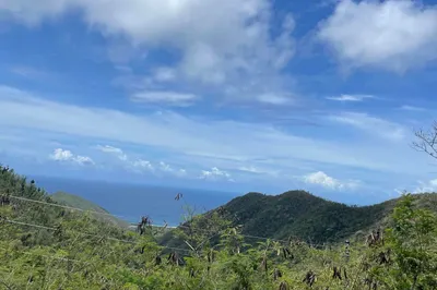 20-2-b #1 Carolina 1