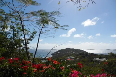 459 Chocolate Hole 1